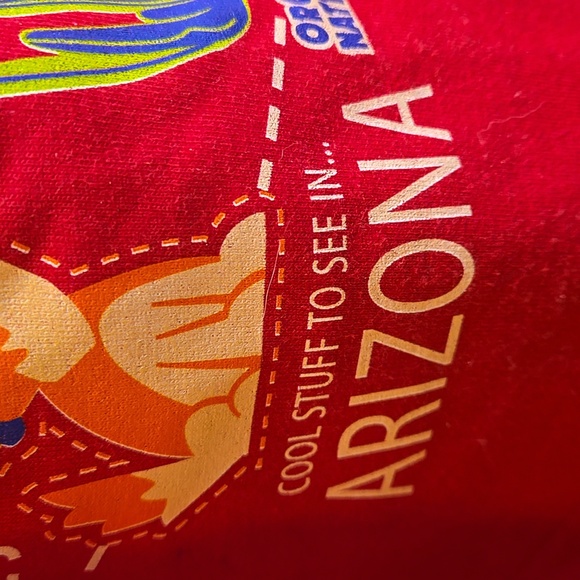 Hanes Cool Stuff to See in Arizona Youth Graphic Short Sleeve Tee - Picture 5 of 8
